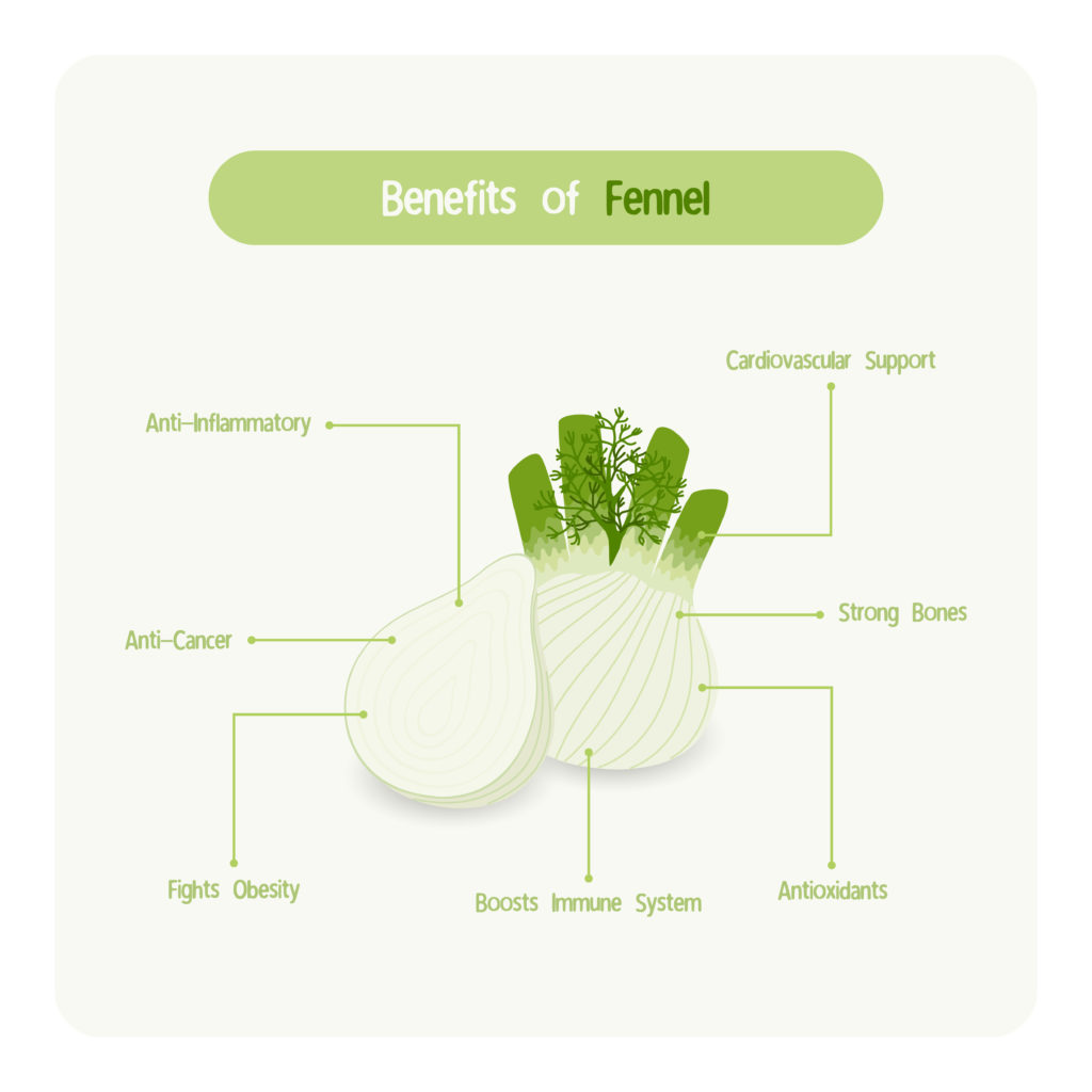 Benefits of fennel
