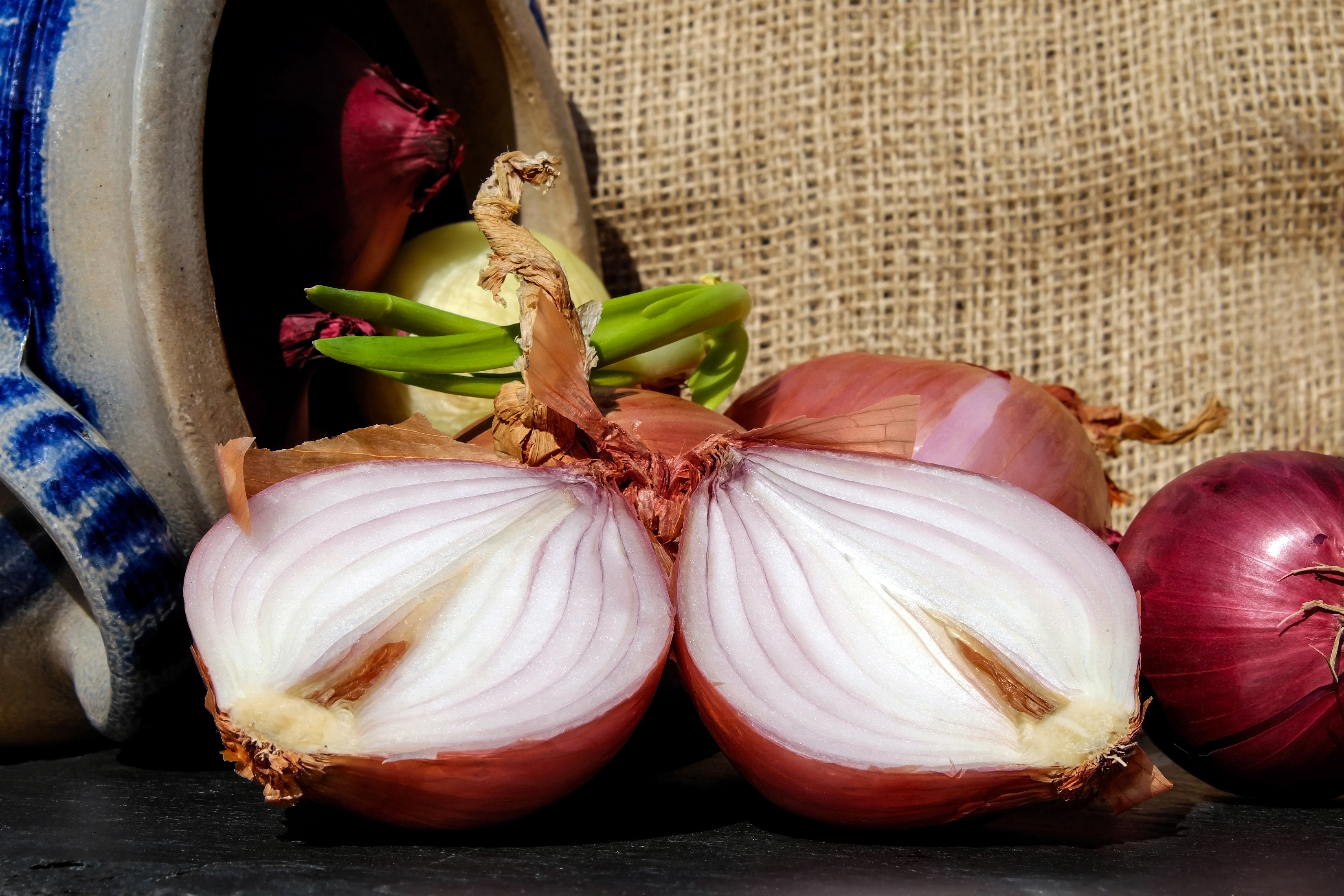 Read more about the article Onions are Bulbous Beauties with Many Health Benefits