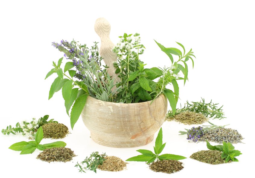 Read more about the article These Herbs Work Like Medicine