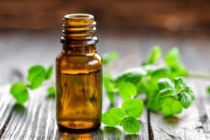 essential oil peppermint