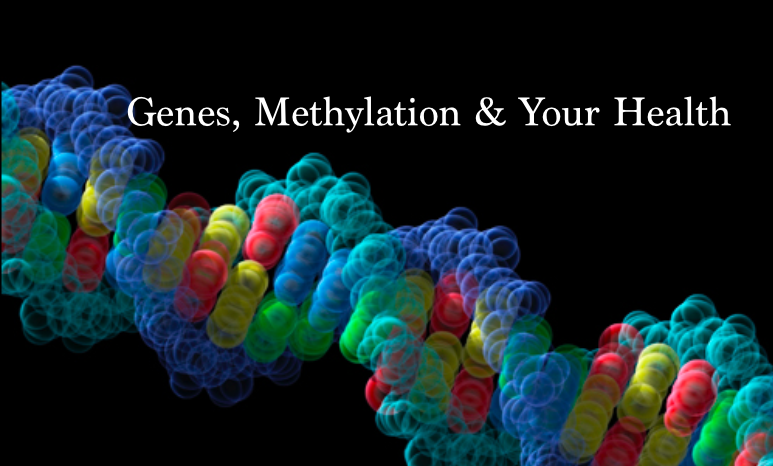 Read more about the article Genes, Methylation and Your Health