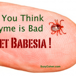 If You Think Lyme is Bad, Meet Babesia!