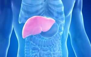 Liver Damage