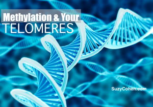Methylation & Your Telomeres