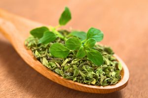 Natural Alternatives to Antibiotics