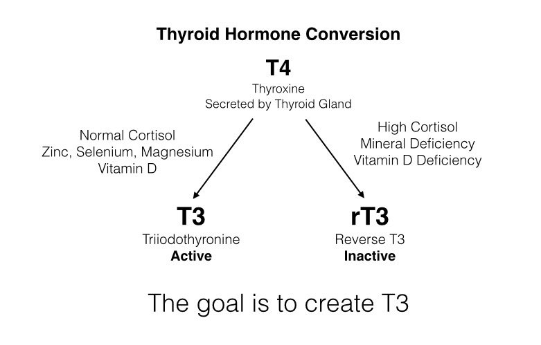 Thyroid Conversion