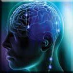 brain image representing neurotransmitter function