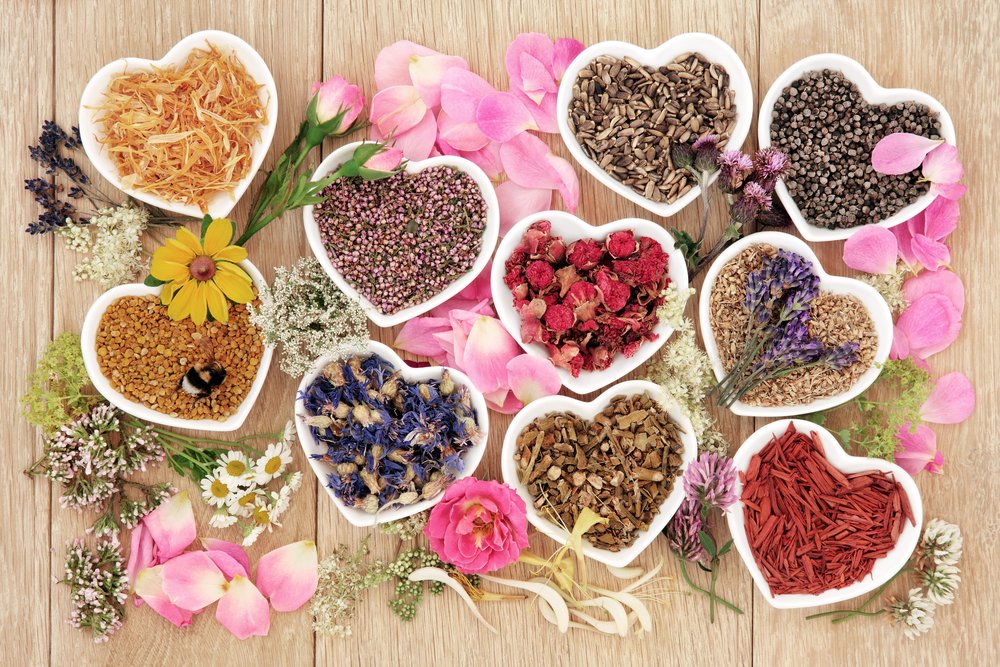 Image of Healing Herbs and Flowers