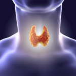 Thyroid Hormone Help: 7 Ways To Boost Your Thyroid Naturally