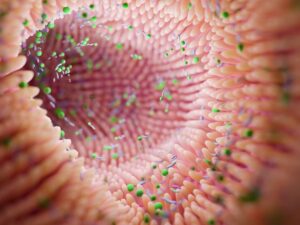 Microbiome Probiotics