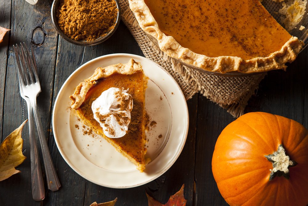 Read more about the article You Will Never Look at Pumpkin Pie the Same
