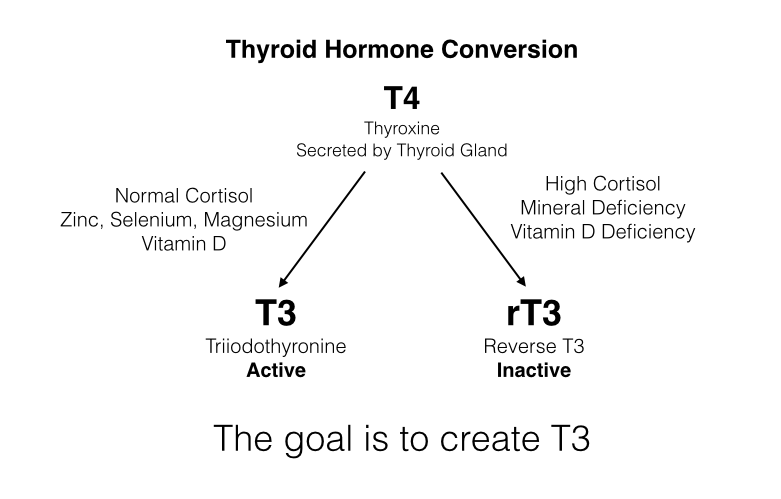 ThyroidConversion