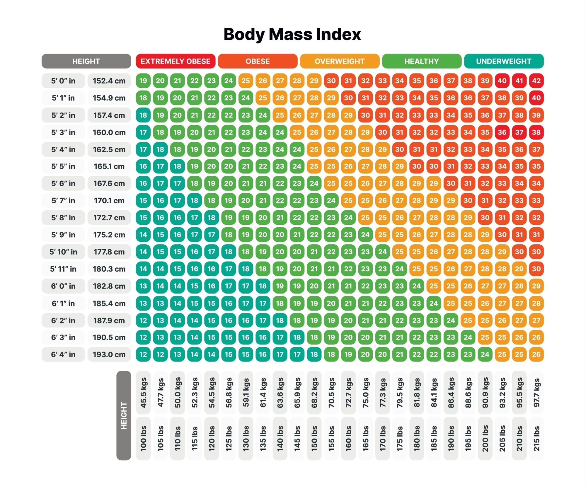 Body Mass Index chart