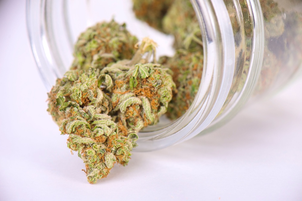 Read more about the article Marijuana Coming to a Pharmacy Near You