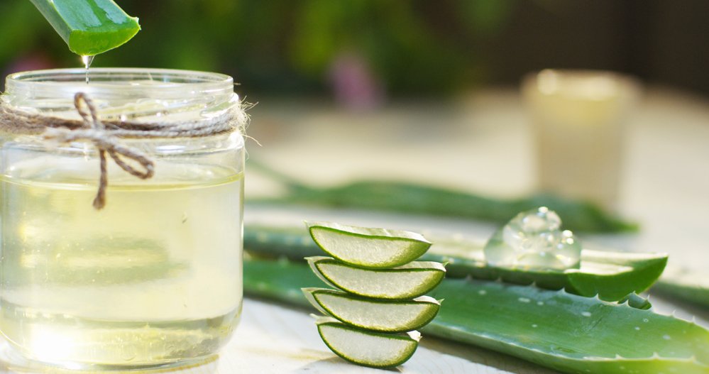 Read more about the article Aloe Vera Has 11 Impressive Uses