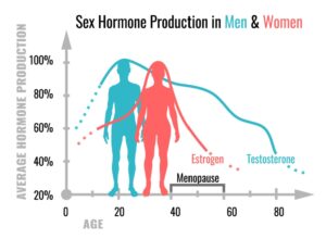 sex hormones