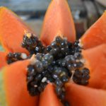 6 Amazing Benefits of Papaya and Papain