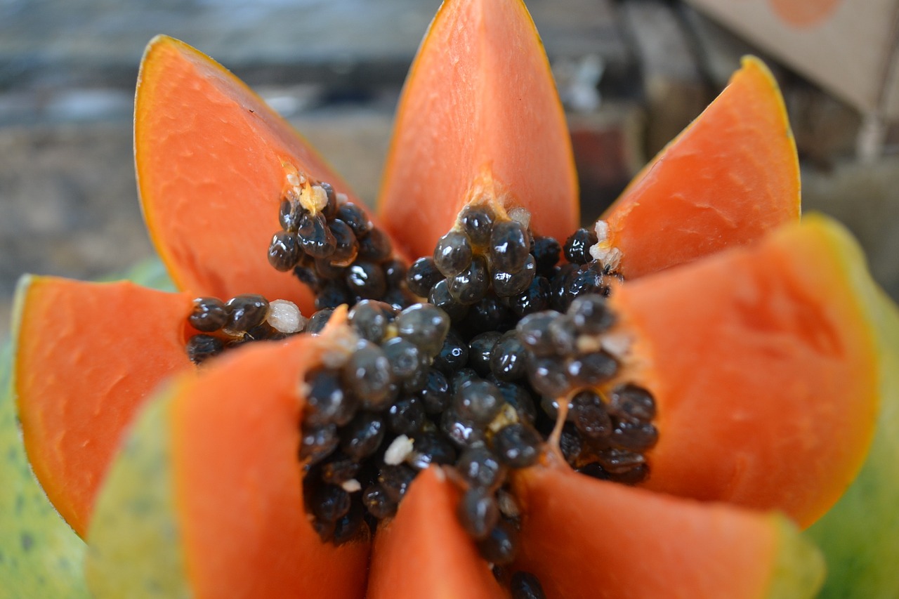 Read more about the article 6 Amazing Benefits of Papaya and Papain