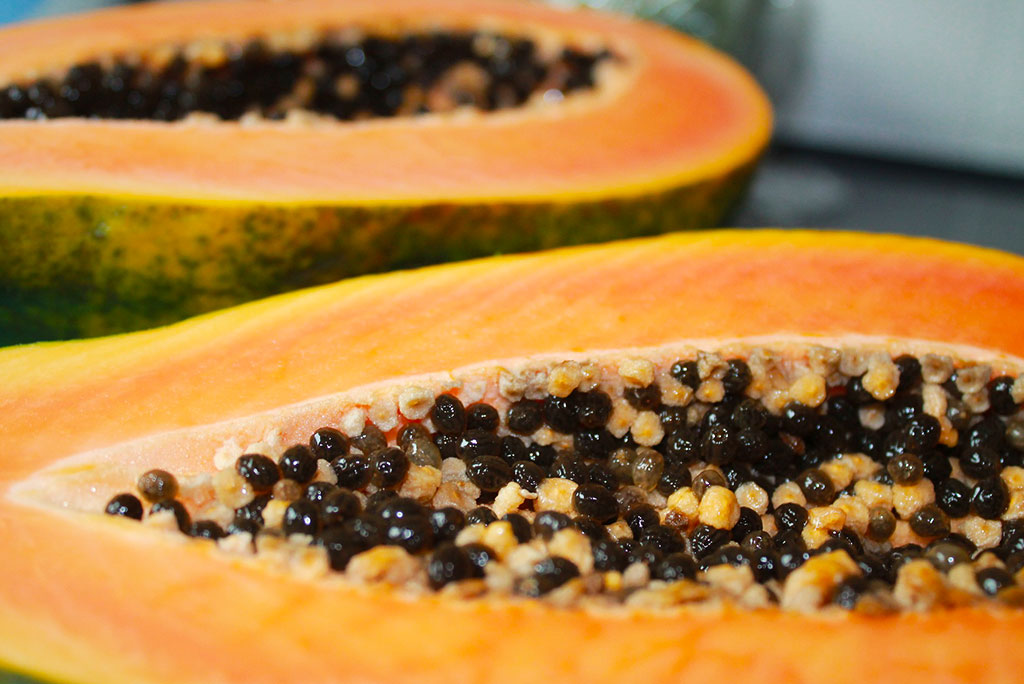 Read more about the article 3 Interesting Reasons to Eat Papaya Seeds