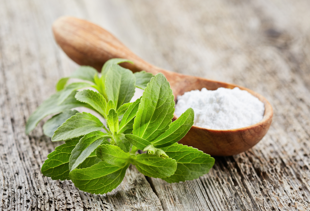 Connection between stevia and ragweed