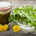 8 Surprising Benefits of Dandelion Weeds