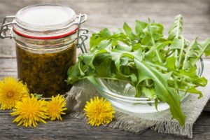 8 Surprising Benefits of Dandelion Weeds