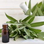 11 Incredible Health Benefits of White Sage