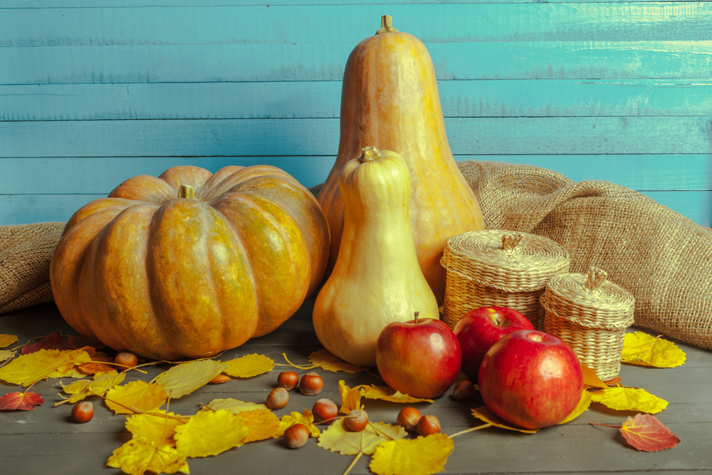 Read more about the article Top 10 Reasons To Eat Pumpkins and Seeds
