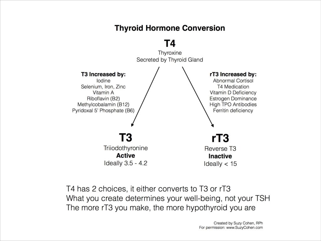 reverse t3 and thyroid conversion