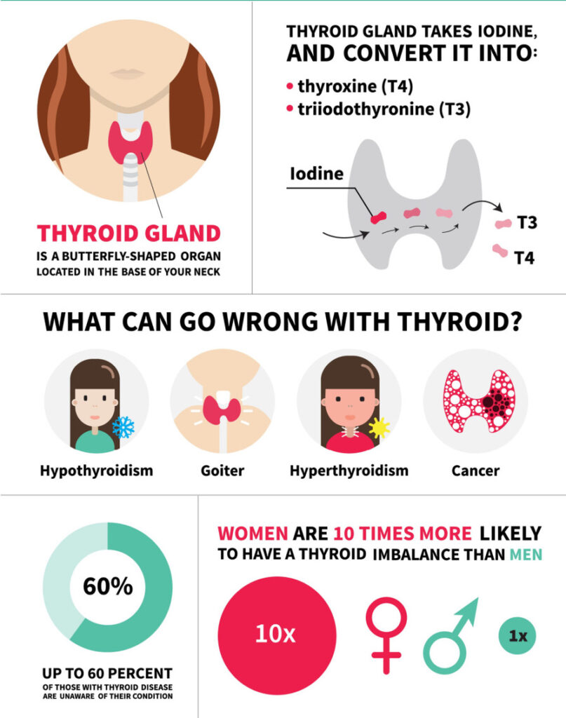 Thyroid Gland Infographic