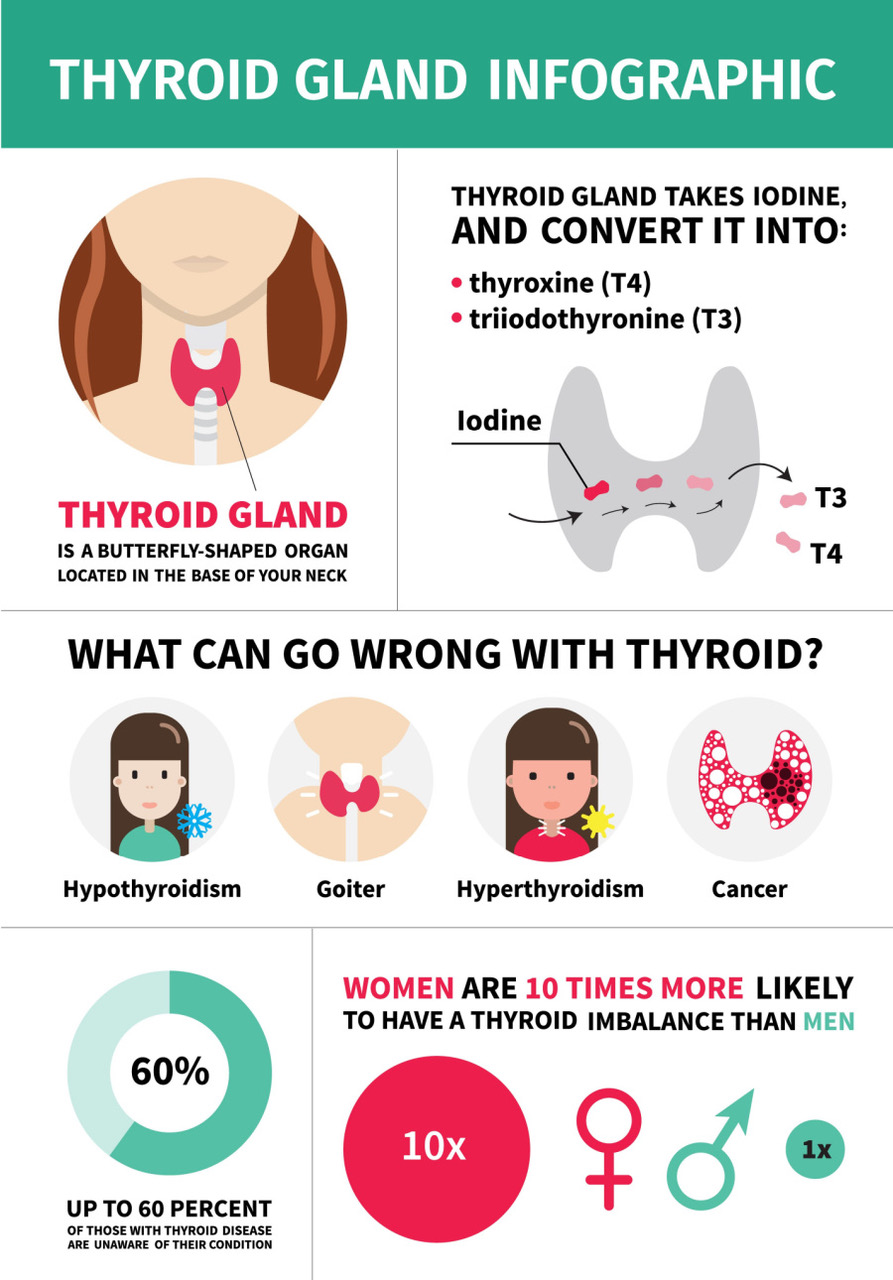 ThyroidGland Infographic