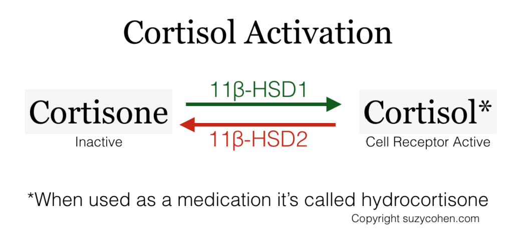 CortisolActivation 31119