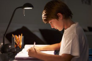 Boy studying