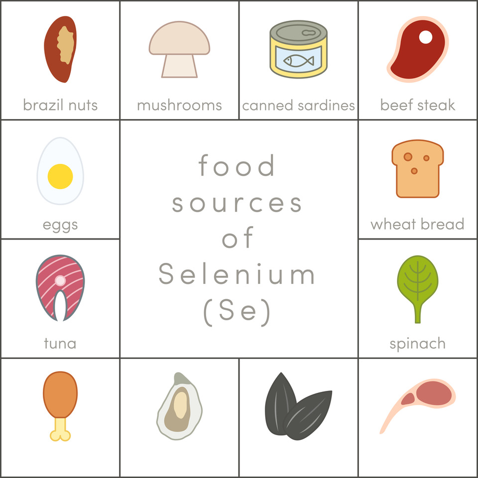 Selenium FoodSources
