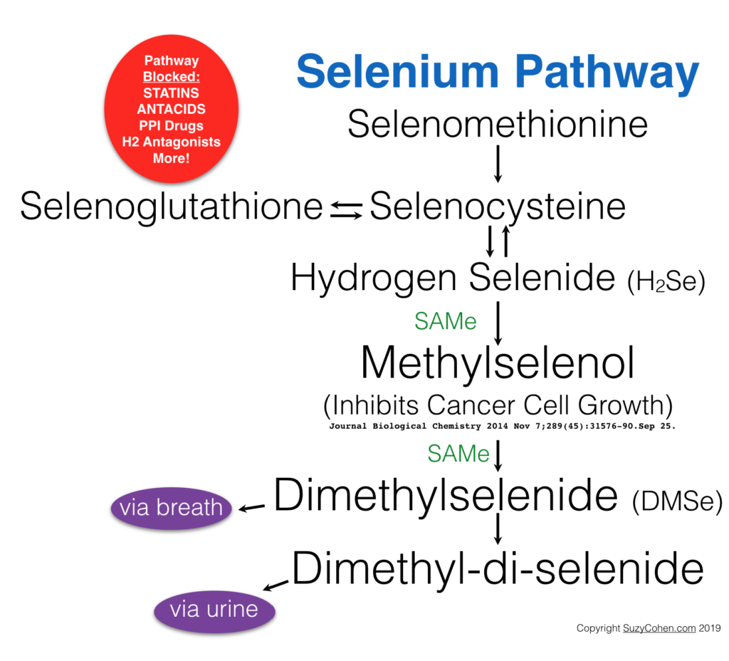 Selenium Pathway