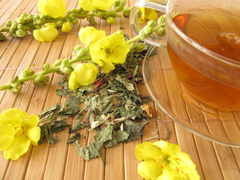 Read more about the article Mullein Elderberry Tea