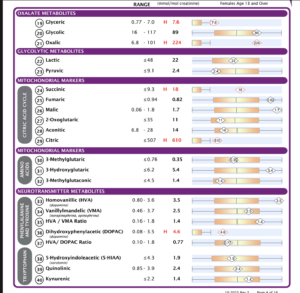 You Can Order Your Own Blood Work and Lab Tests: Here are 6 Advantages! 9 OAT Test Sample Report