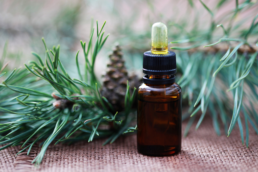 Read more about the article My Favorite Winter Essential Oils