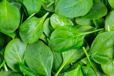 spinach is a lettuce alternative