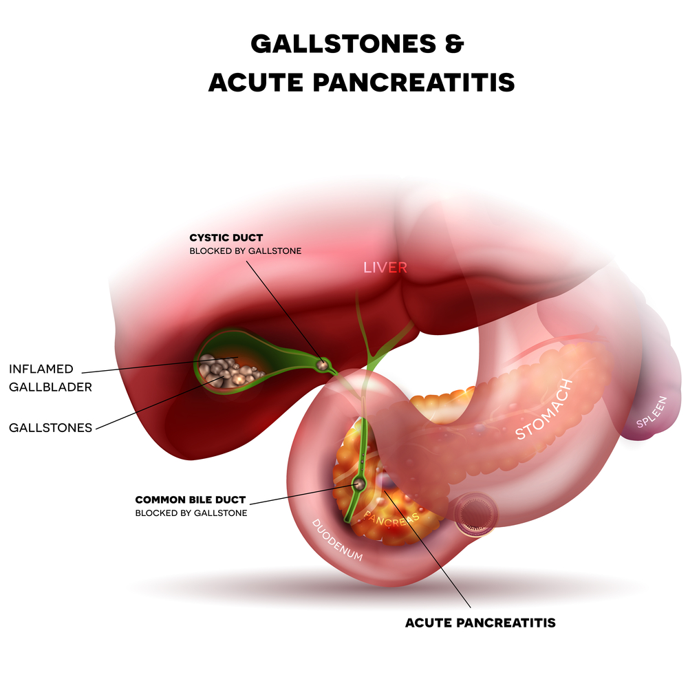 Gallbladder pancreas