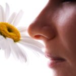If you Lose Your Sense of Smell, Stay Home