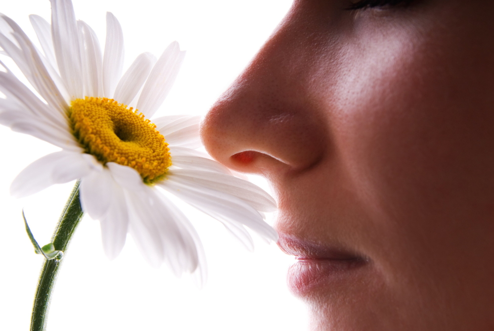 Read more about the article If you Lose Your Sense of Smell, Stay Home