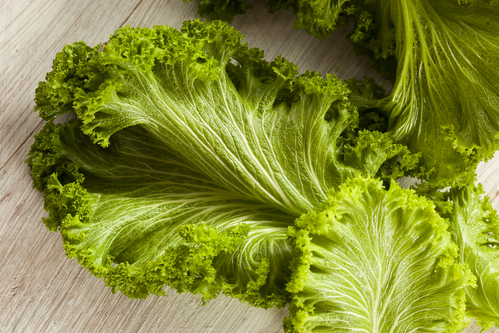 Read more about the article 3 Primary Reasons to Eat Mustard Greens – And Why You Should Cook Them!