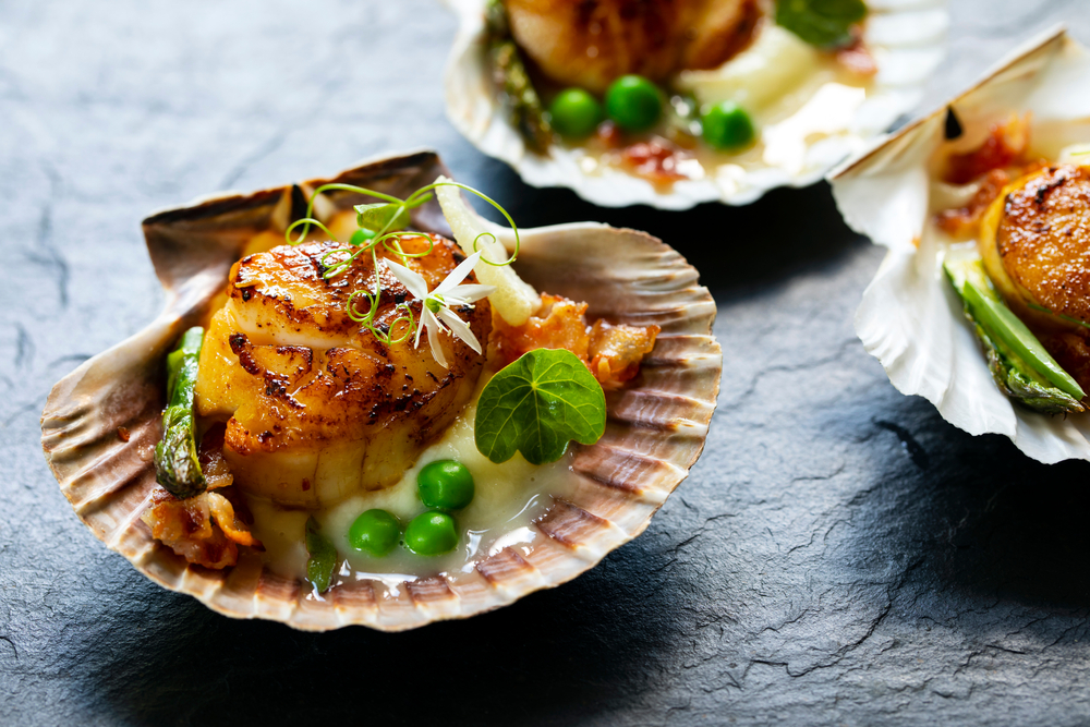 Read more about the article Scallops in Cauliflower Puree
