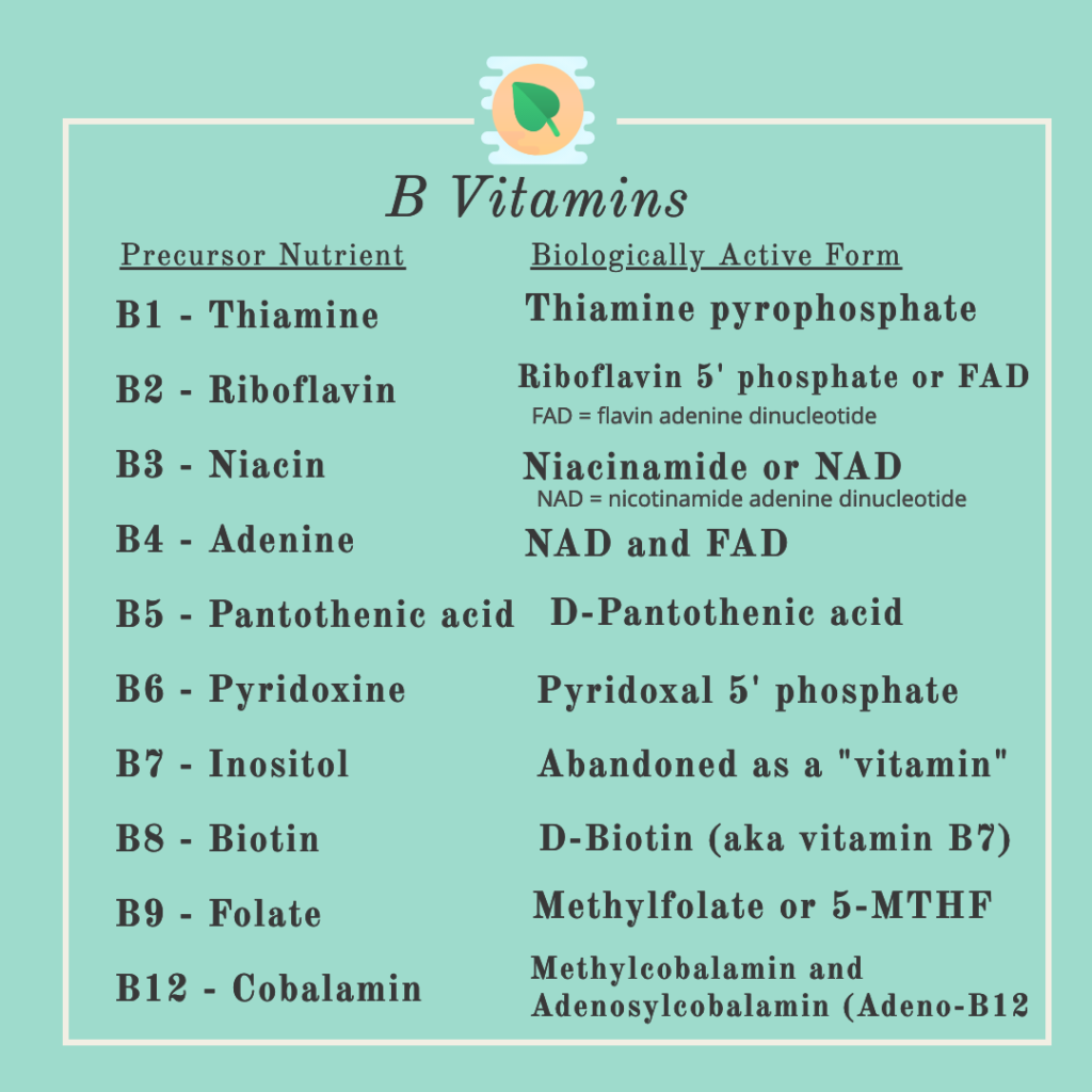 B Vitamin List