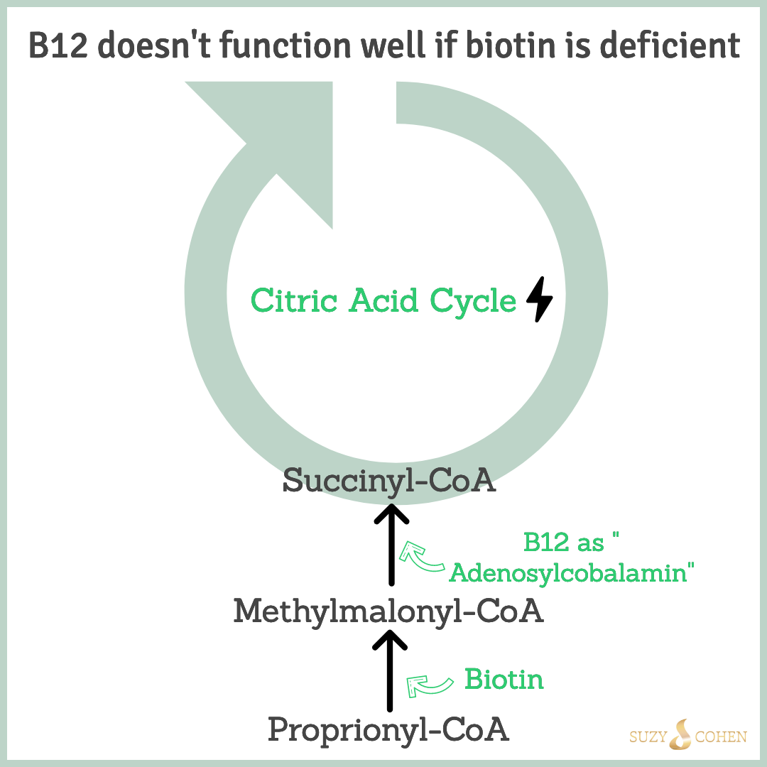 B12 with Biotin