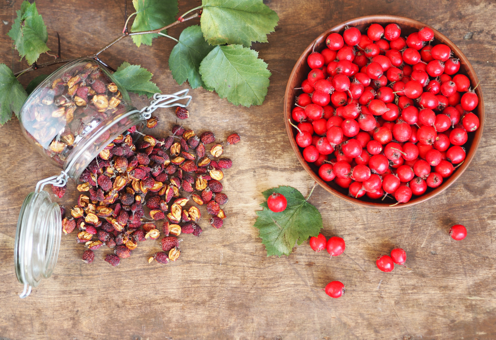 How Hawthorn Lowers Blood Pressure Suzy Cohen, RPh offers natural