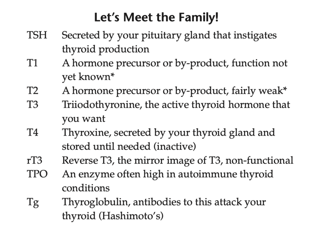 Thyroid-Hormones