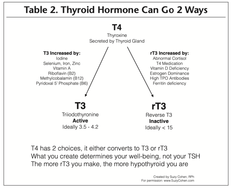 Factors that Contribute to Thyroid Disease Suzy Cohen, RPh offers