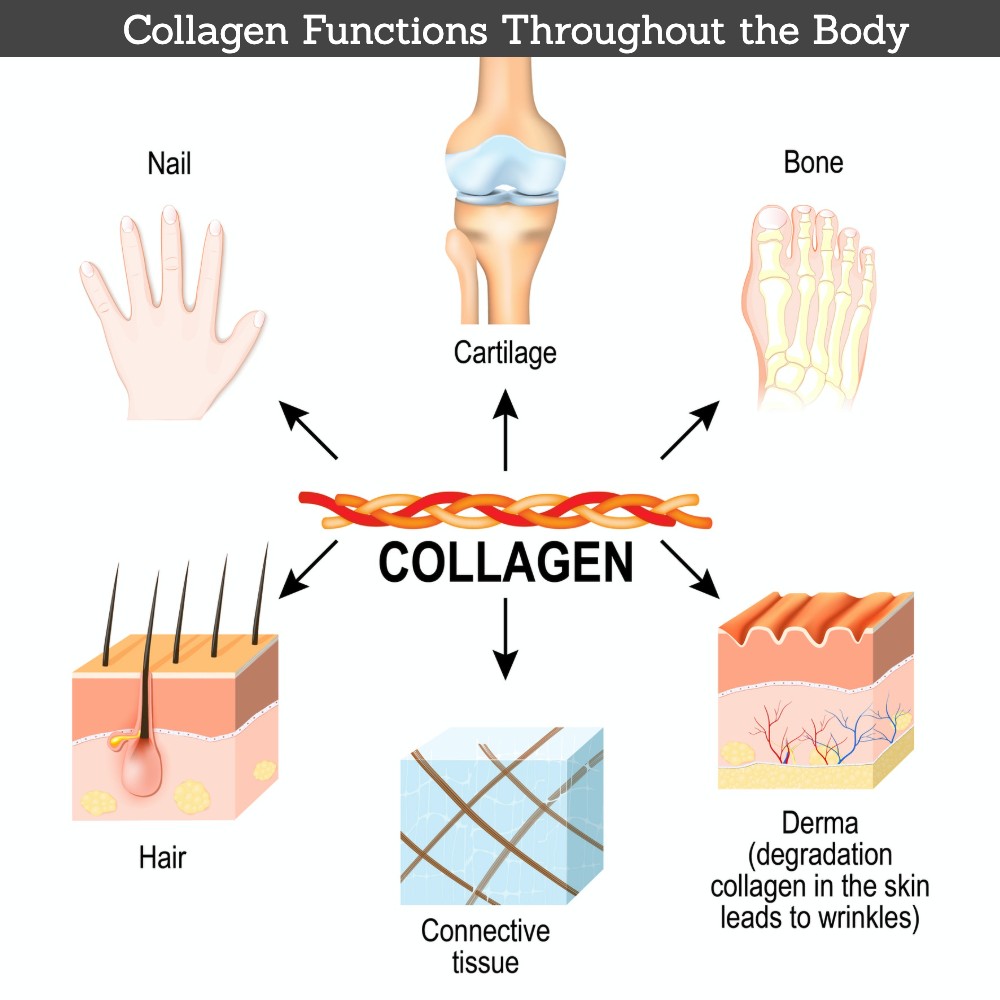 clearing-the-confusion-about-the-types-of-collagen-suzy-cohen-rph